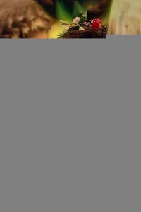 Ночь летнего солнцестояния 1 сезон